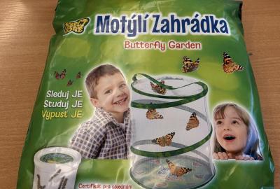 Motýlí zahrádka